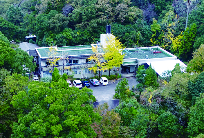 �c��t�B�[���h