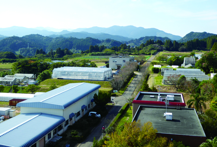 �؉ԃL�����p�X����k�ˎR��]��